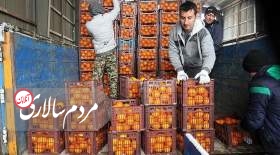 شکست دولت رئیسی در کنترل قیمت میوه نوروز ۱۴۰۲