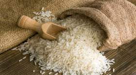 پیش‌بینی کاهش مصرف ۵۰ درصدی برنج