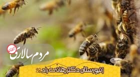 مطالب عجیبی که در مورد زنبور عسل نمی دانید!