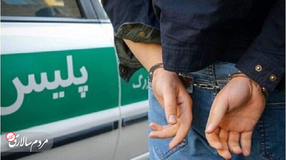 عامل درگیری در کنسرت گرشا رضایی بازداشت شد