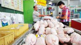 قیمت مرغ در بازار تهران چقدر است؟