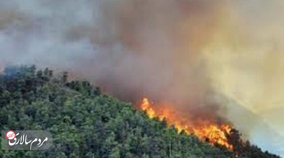 آتش‌سوزی در جنگل‌های مریوان ادامه دارد