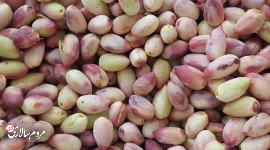 پسته تازه با پوست کیلویی۳۶۴هزار تومان، پسته اکبری ۱میلیون تومان!