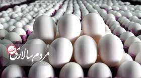 قیمت جدید تخم مرغ در بازار
