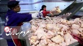 قیمت بال مرغ در بازار چند؟ 