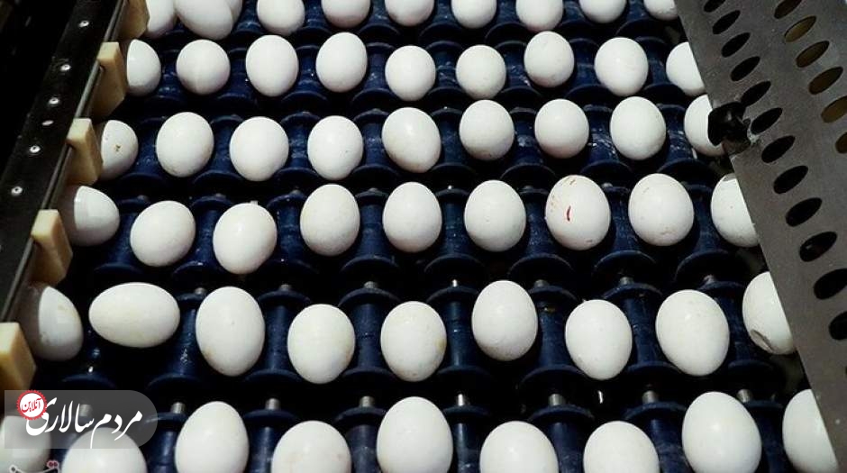 اعلام قیمت رسمی هرکیلو تخم‌مرغ