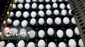 اعلام قیمت رسمی هرکیلو تخم‌مرغ