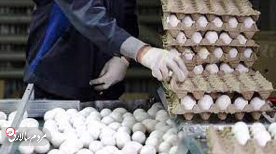 تخم مرغ در میادین کمتر از نرخ مصوب عرضه می‌شود 