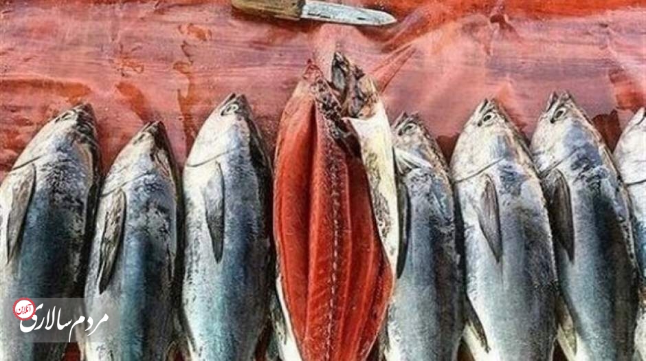 اتفاق عجیب در بازار ماهی