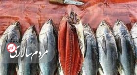 اتفاق عجیب در بازار ماهی