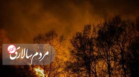 آتش سوزی گسترده در ۱۷ منطقه از لنگرود