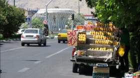 روزنامه شهرداری: وانتی هایی که میوه می فروشند مافیا دارند