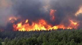 احتمال وقوع آتش‌سوزی در این جنگل/ تا سه‌شنبه اینجا آتش روشن نکنید