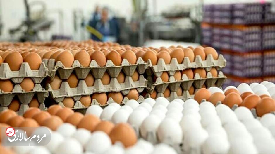قیمت تخم مرغ در بازار امروز چقدر بود؟