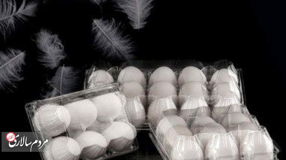 صادرات ۱۰۰ هزار تن تخم مرغ از کشور