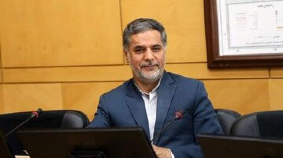 نقوی حسینی: پایداری ها از اصطلاح «پشم» خیلی ناراحت شدند