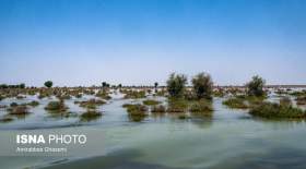 ایران جزو آسیب‌پذیرترین کشورها از بلایای طبیعی
