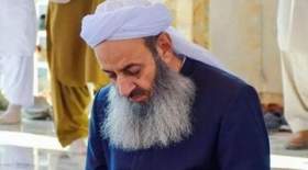 مولوی عبدالحمید از کدام کاندیدای ریاست جمهوری حمایت کرده است؟
