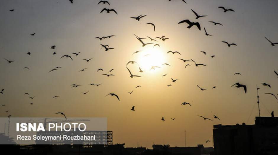 هوای تهران گرم‌تر می‌شود