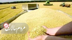 بدهی 60 درصدی دولت به گندمکاران