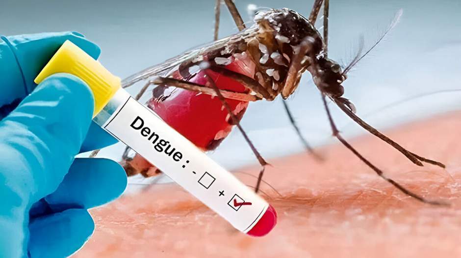 آخرین وضعیت شیوع تب دنگی در کشور