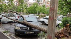 ریشه‌کن شدن درختی در خیابان قائم‌مقام فراهانی در اثر طوفان امروز تهران