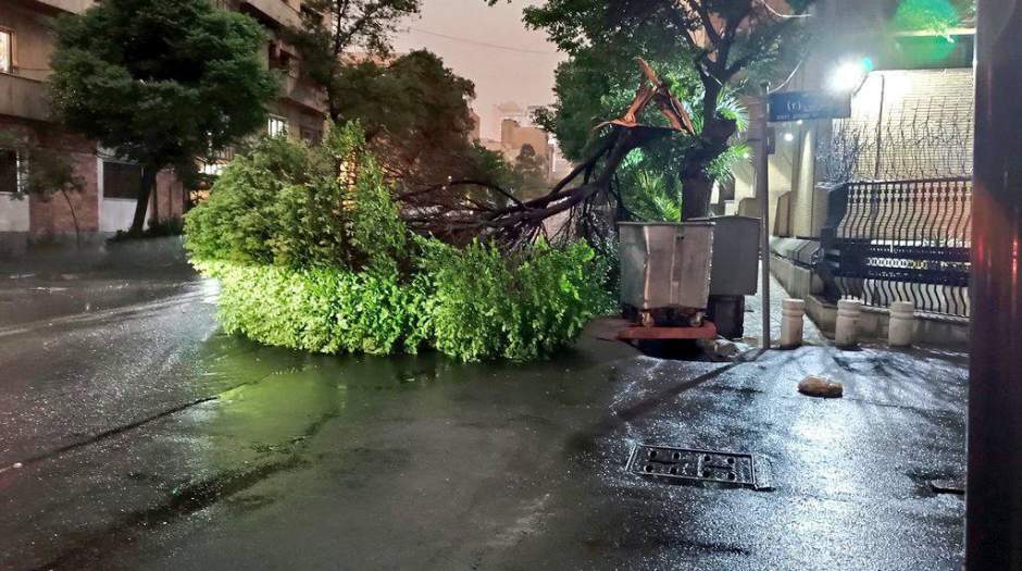 ببینید | طوفان در تهران آغاز شد