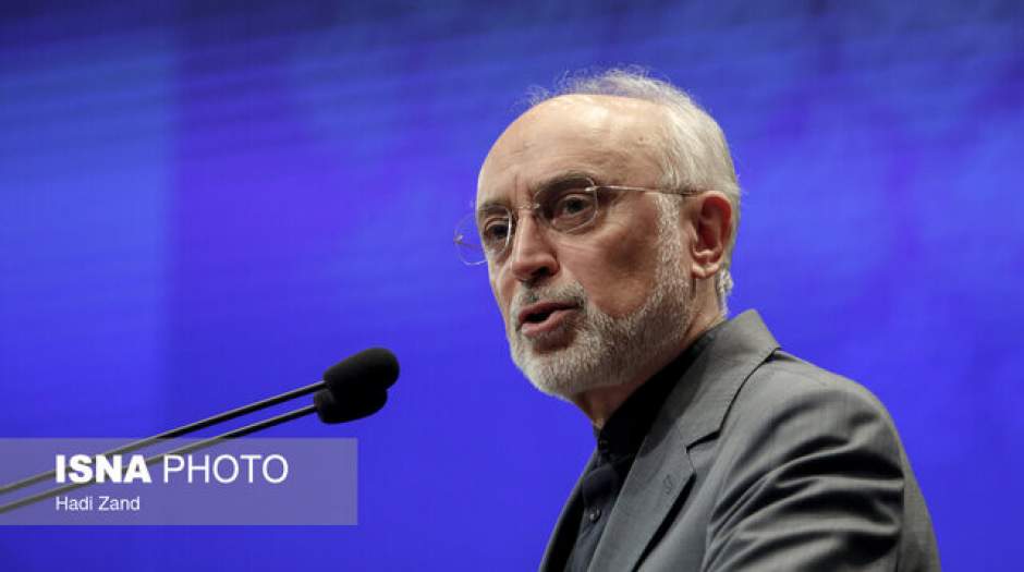 صالحی: کشورهای همسایه تمایلی ندارند با تحریف نام خلیج فارس هم‌ذات‌پنداری کنند